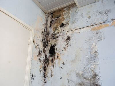 About Flash Flood Recovery - water damage restoration experts in london